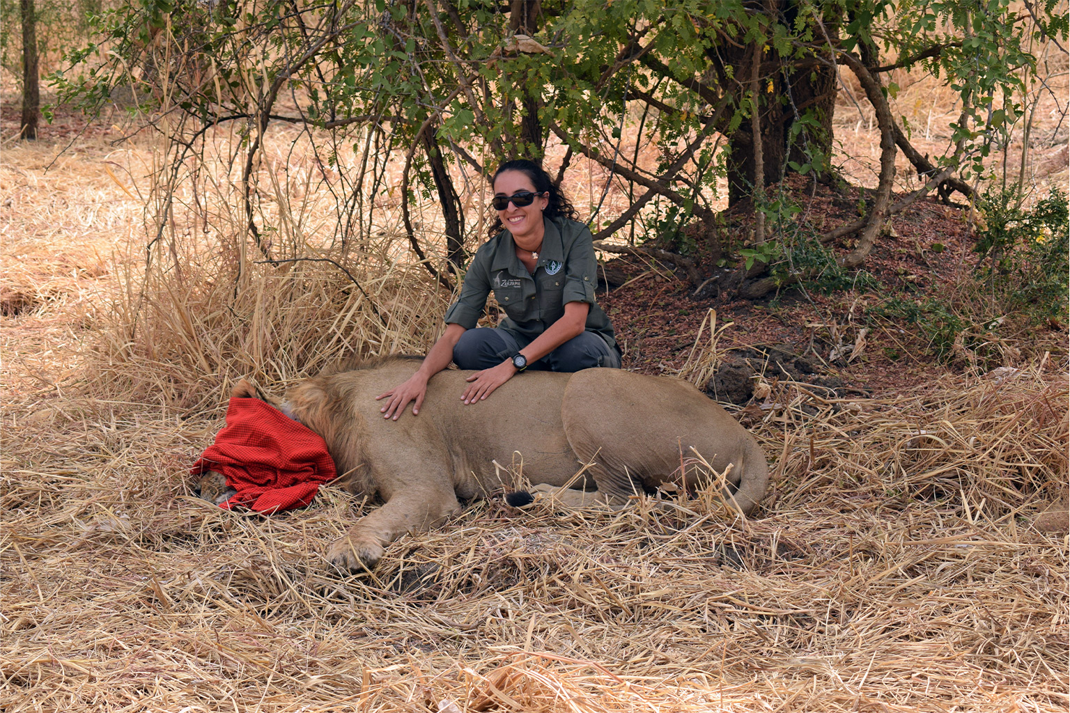 Chiara Fraticelli with a lion.