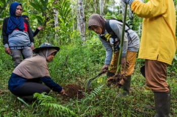 Women from the Maju Bersama KPPL plant ginger flowers