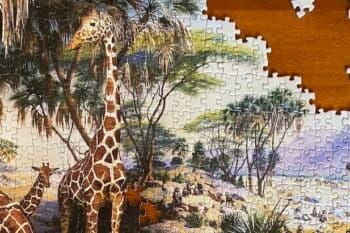 Puzzle of a natural history museum diorama. Image by Erik Hoffner for Mongabay.