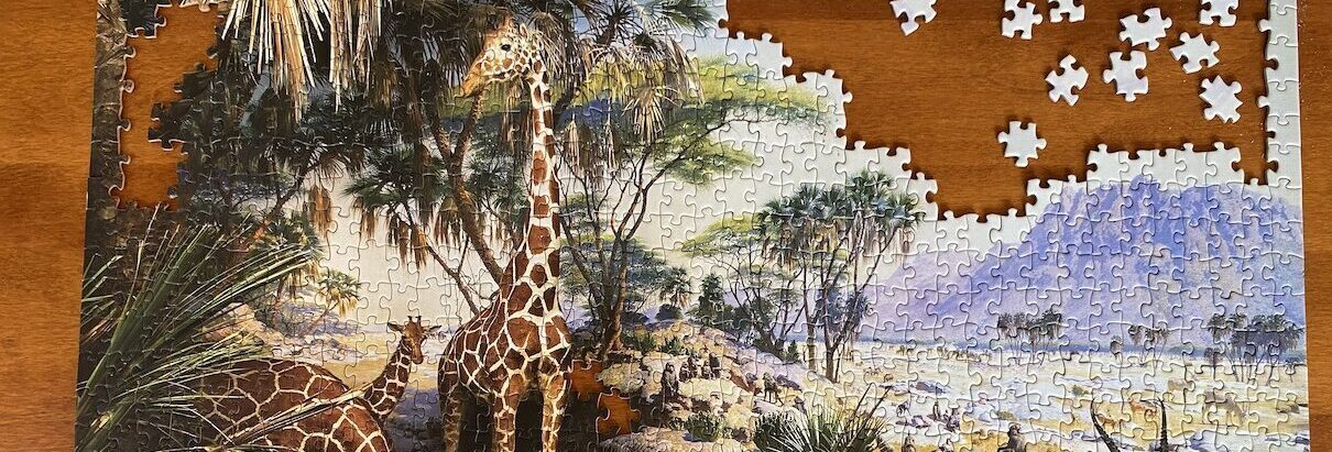 Conservation programs must embrace causal evidence when…