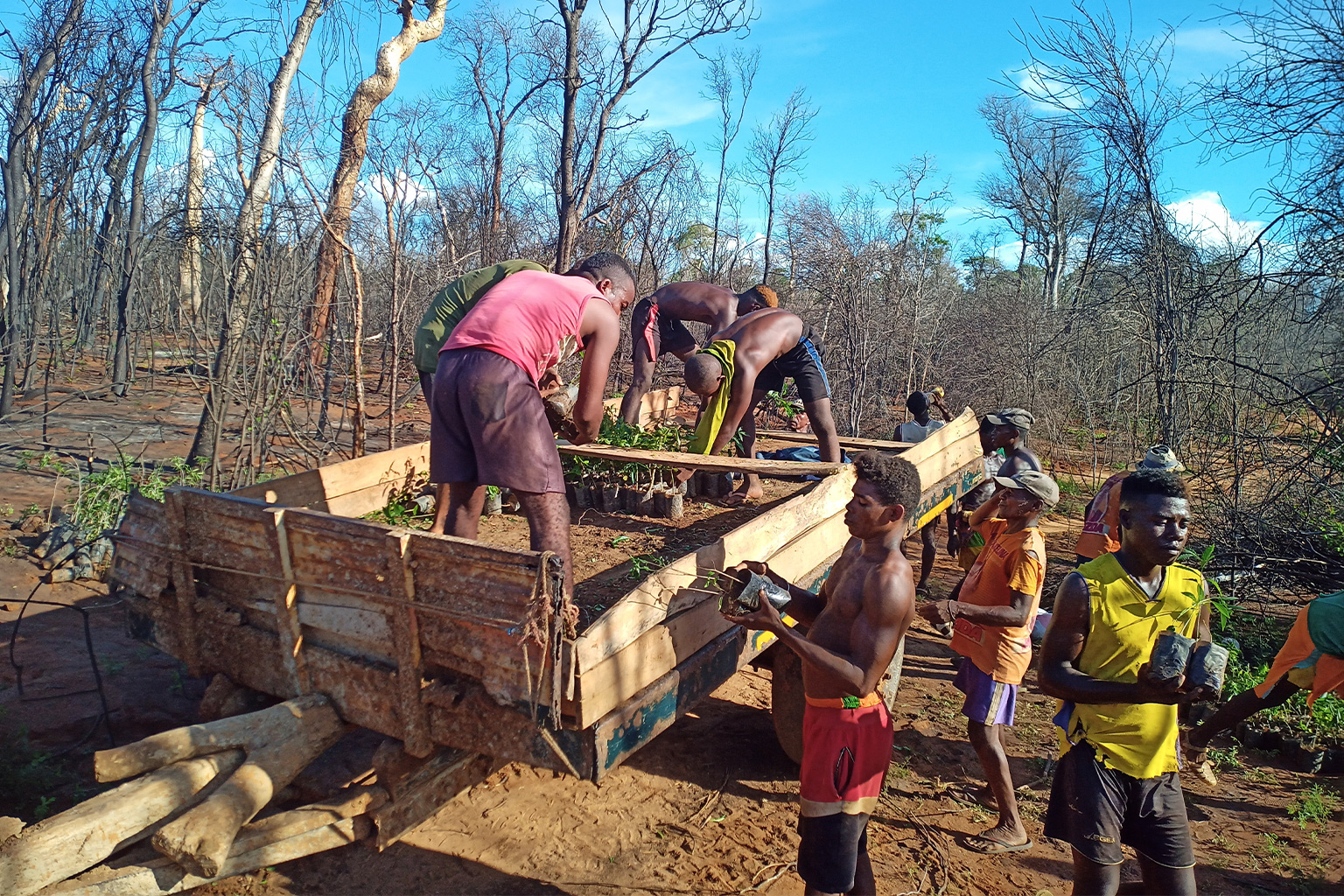 Villagers planting trees with Dry Forest at the NGO’s reforestation site