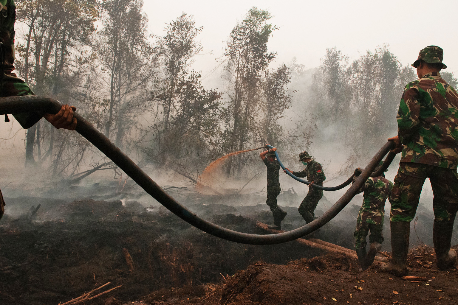 Army officers try to extinguish fires in peatland areas in Central Kalimantan.