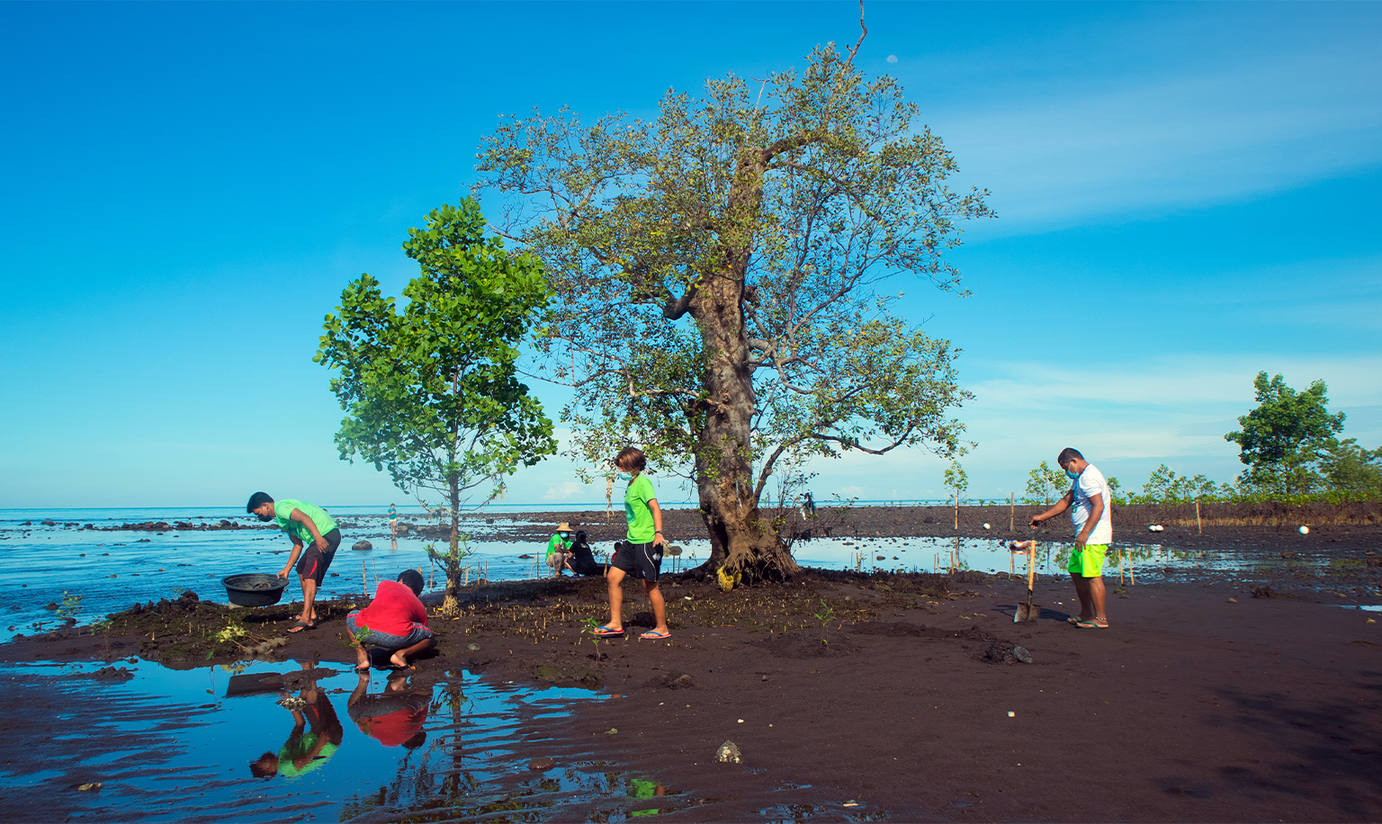 Restoring abandoned fishponds in the Philippines