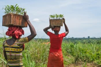 Women carrying saplings.