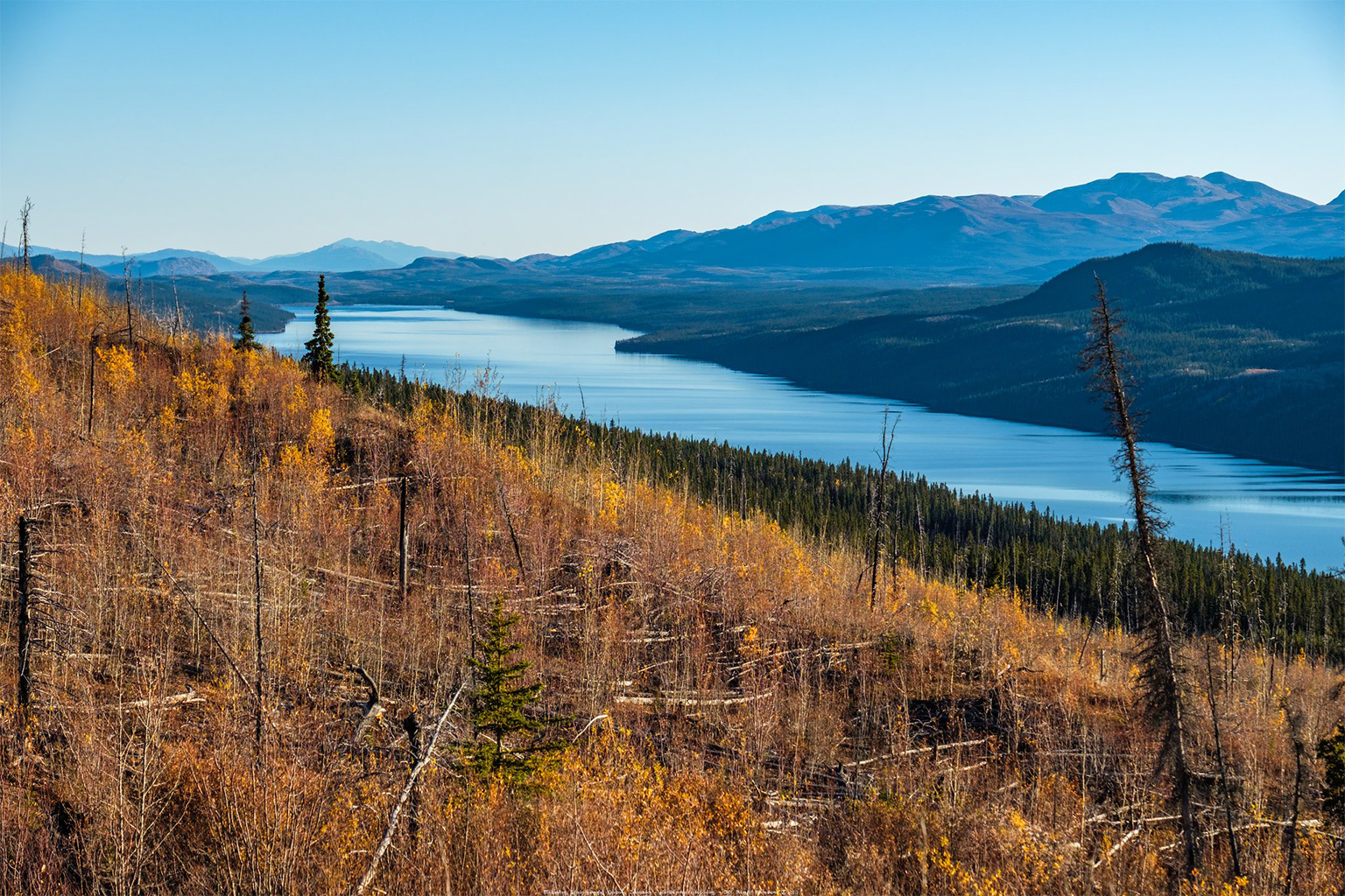 Restoring hundreds of millions of hectares of lost and degraded forest worldwide is a formidable task, made more difficult by the fact that many degraded sites are inaccessible by road, stopping manual replanting projects in their tracks.