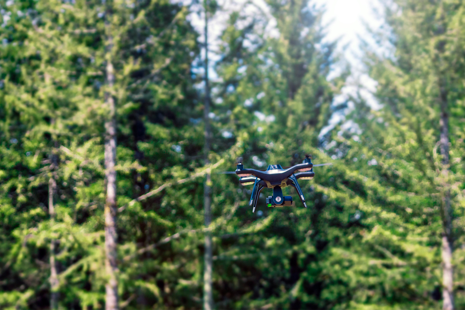 Drones can be used to monitor forests from a bird’s-eye view.