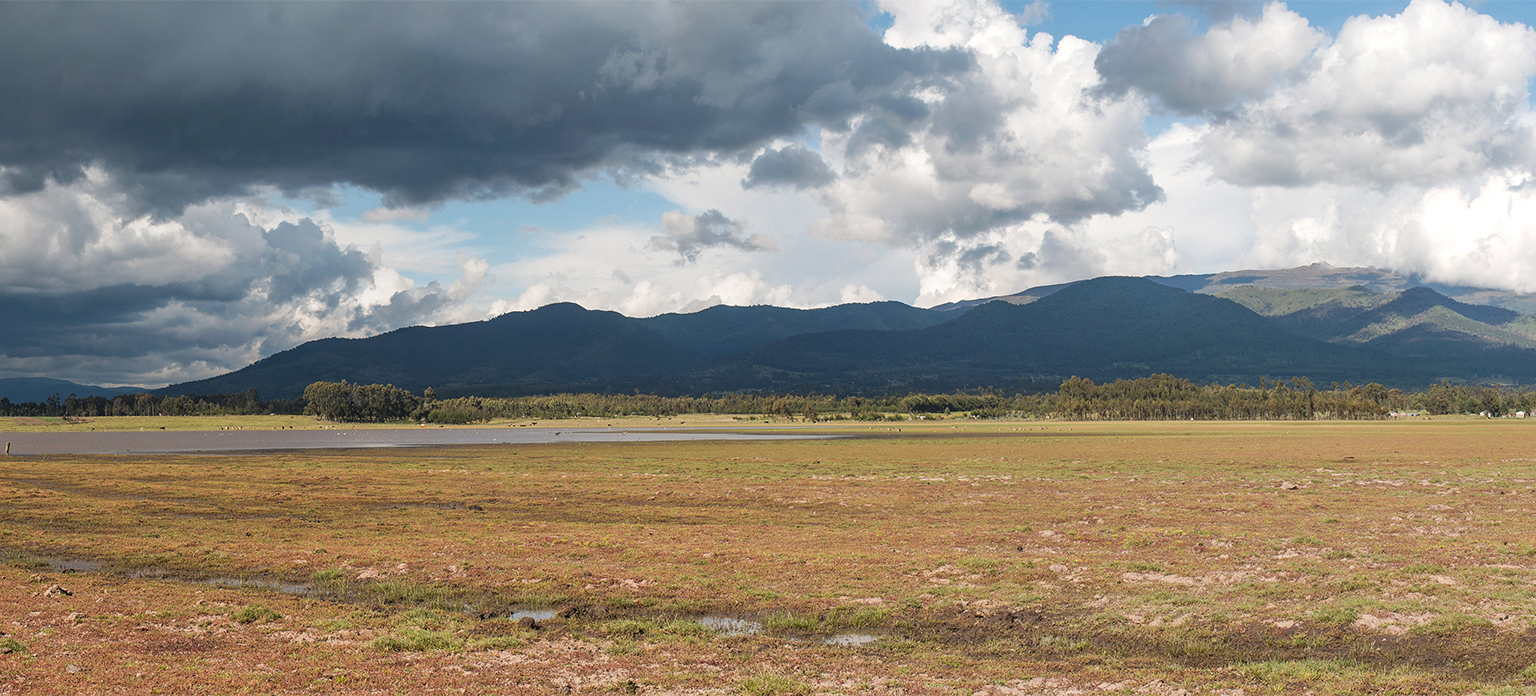 The Aberdare mountains beyond the Kinangop grasslands.