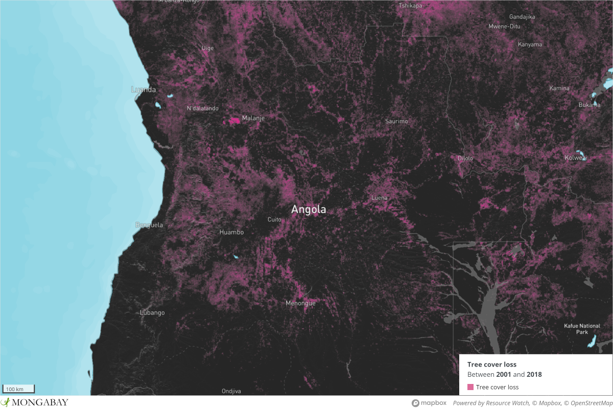 Logging in Angola between 2000 and 2010. 