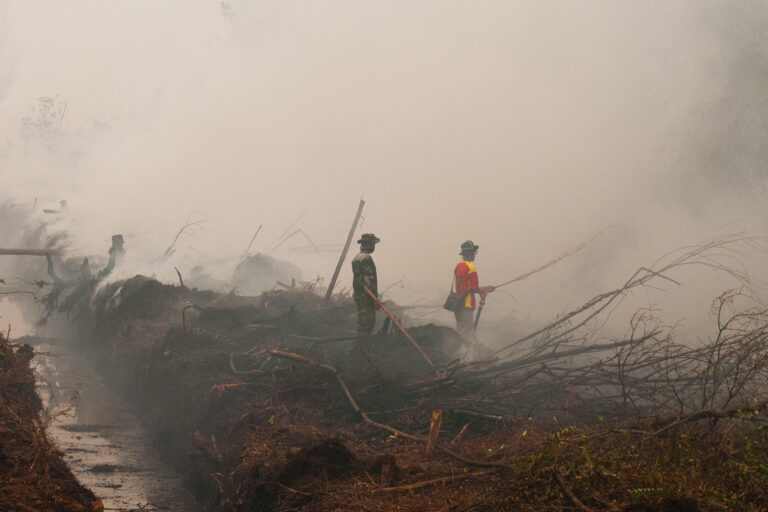 Restorasi lahan gambut di Indonesia dipertanyakan karena kebakaran yang terus berkobar