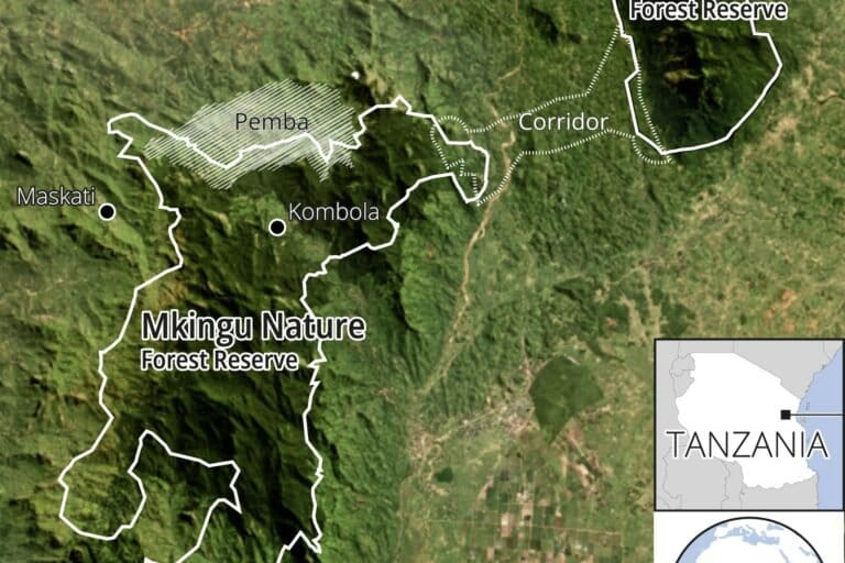 Map showing Pemba, where farmers are planting more than 60 species of rainforest trees on portions of their land to begin restoring the original rainforest, at the northern end of the Mkingu Forest Nature Reserve. Sources: UNEP-WCM and Global Forest Watch.