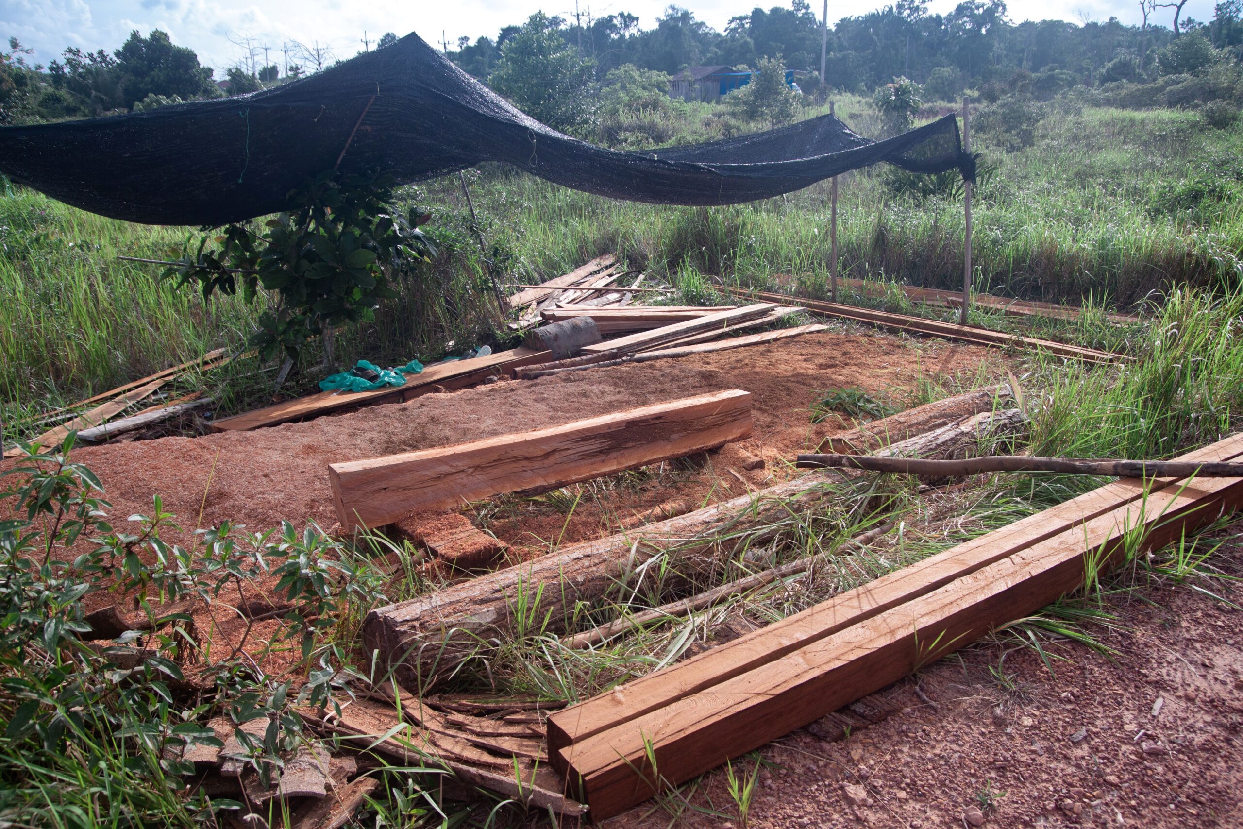 Reporters came across a small logging hut inside the UDG relocation site in May 2023. Many residents complained that there are no opportunities for work, which drives them towards illegal logging, but the national park's forests are rapidly vanishing. Photo by Gerald Flynn/Mongabay.