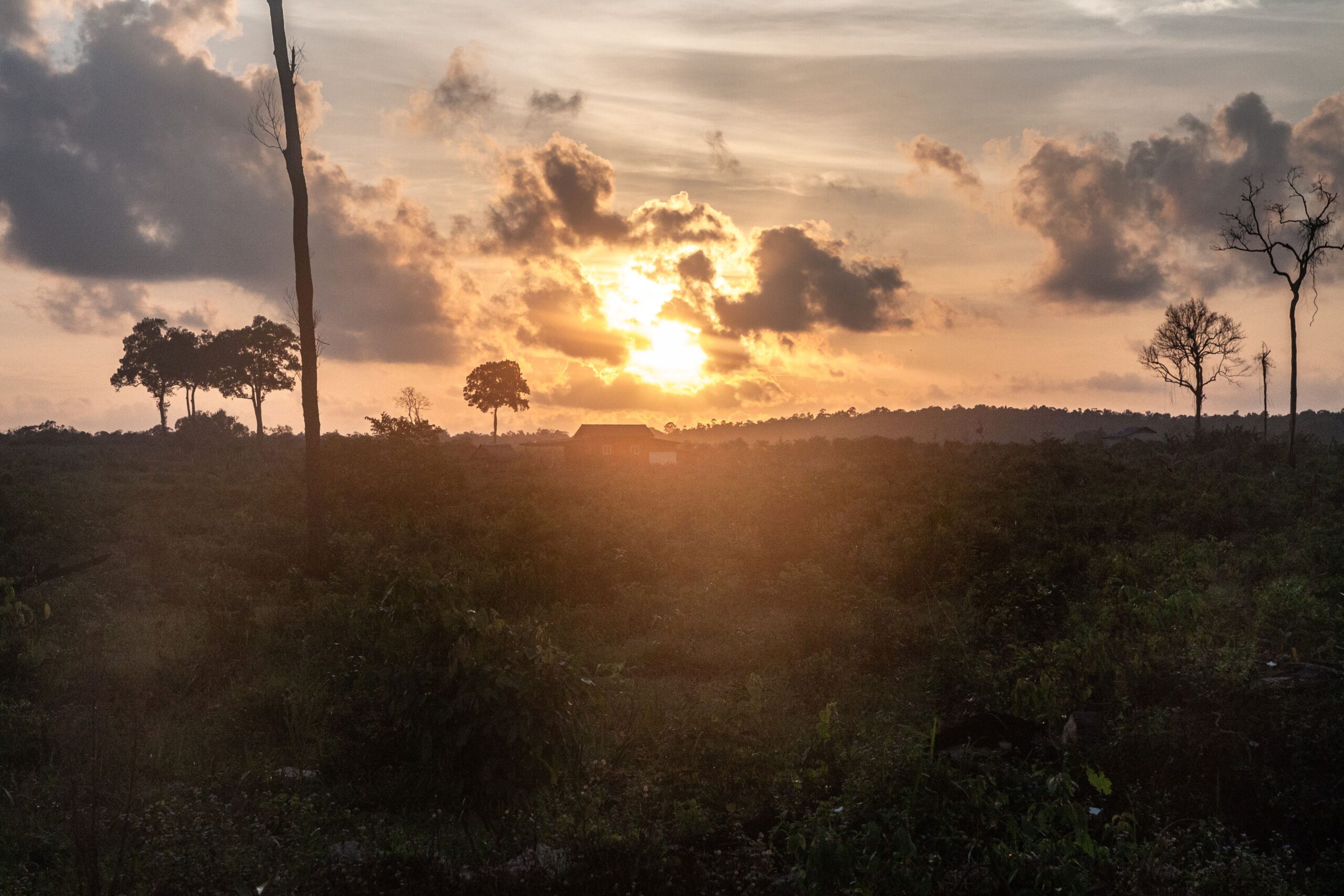 As tycoons squeeze local residents out, the sun is setting on Botum Sakor National Park. Photo by Gerald Flynn/Mongabay.