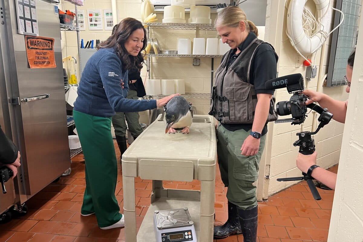 Monica Medina at WCS’s Central Park Zoo. Photo credit: Julie Larsen