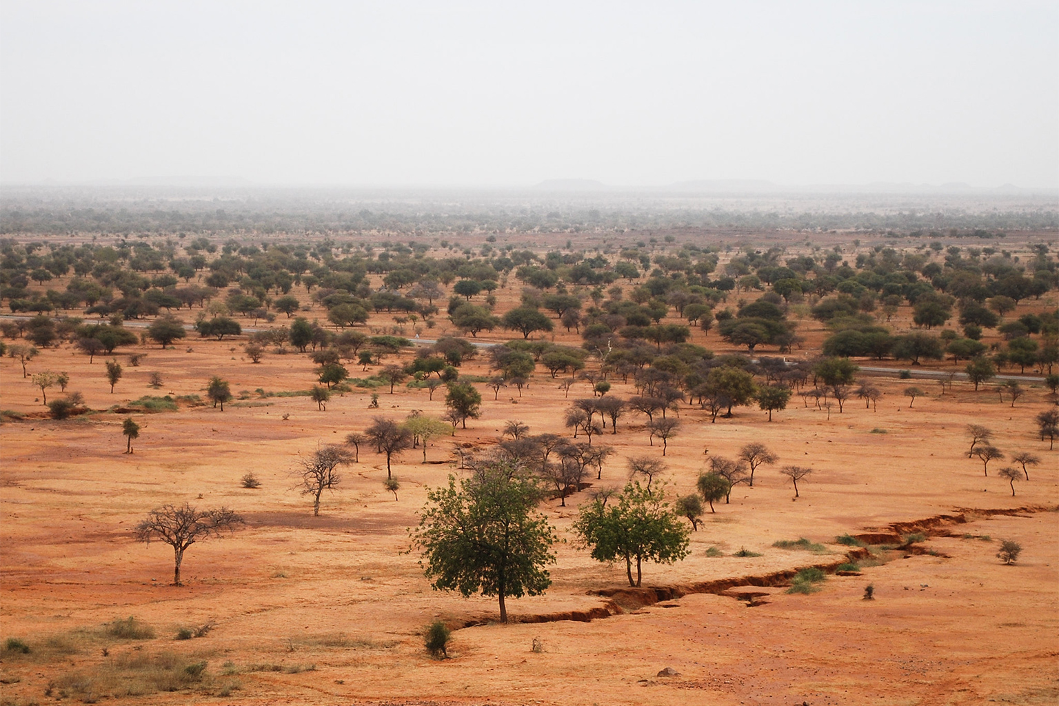 Landscape of the Sahel in Burkina Faso. 