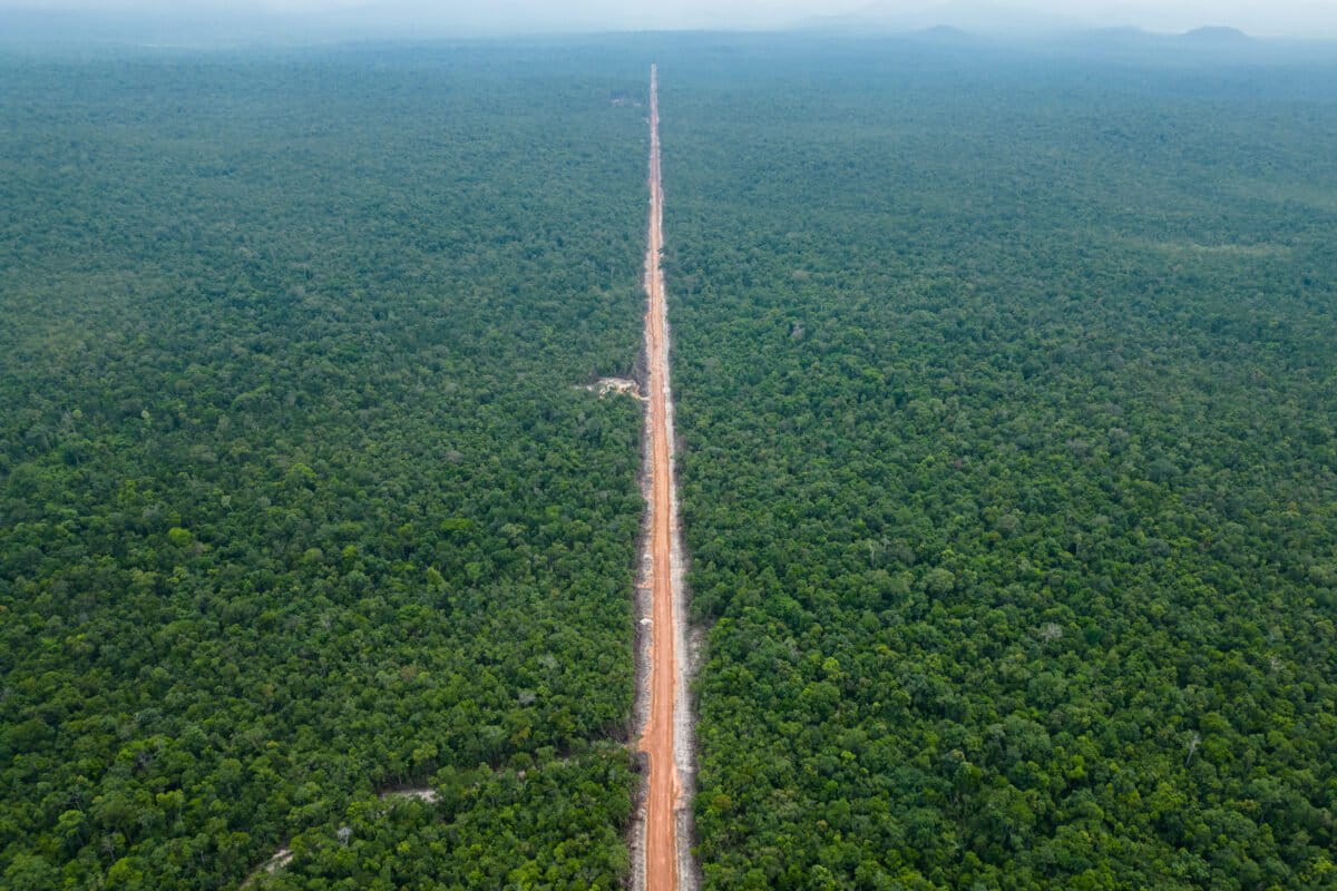 July 2023 - Conservation news