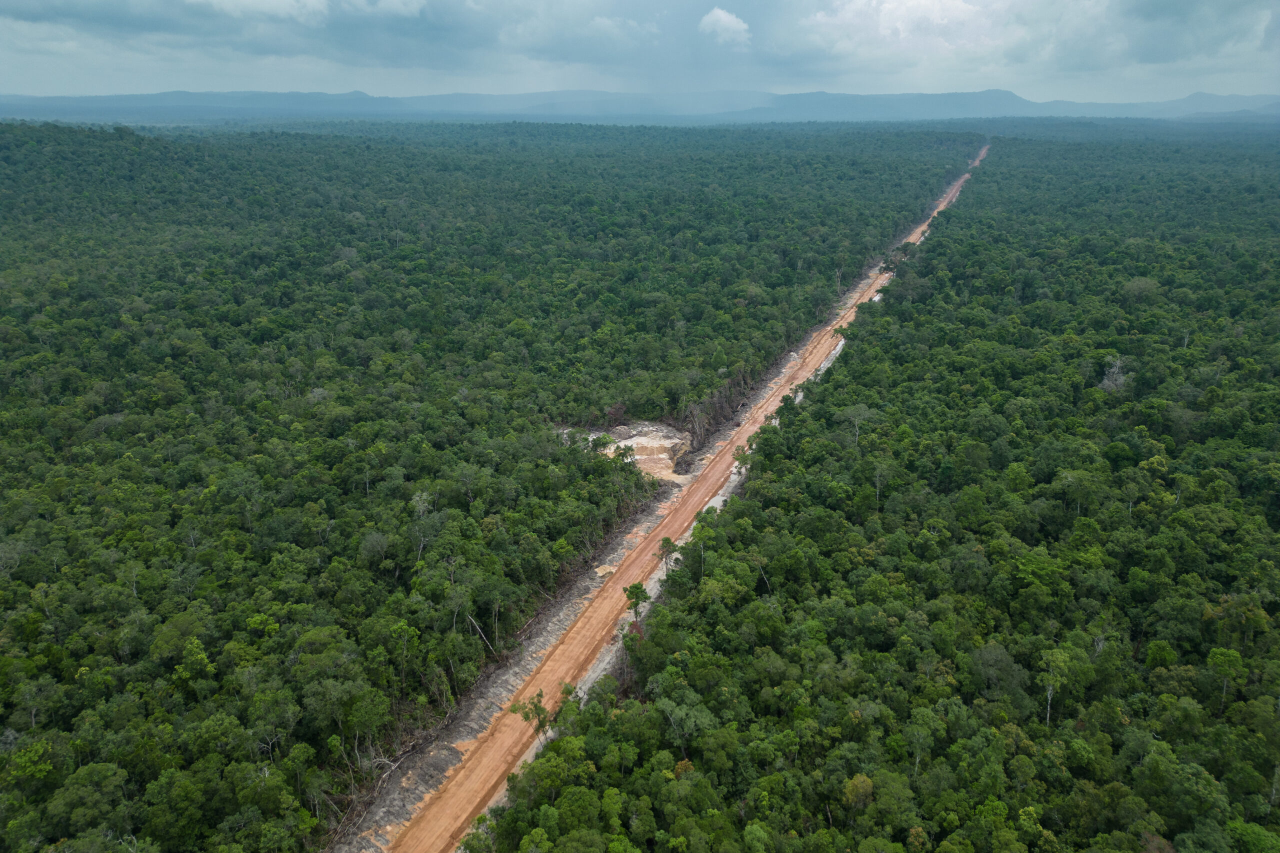 In total, three new roads have spanning some 45 kilometers have been cut through the best-preserved part of Botum Sakor National Park. All three roads link to concessions owned by Ly Yong Phat, a ruling party senator and Cambodian tycoon with a long history of illegal logging. At least two of the three roads serve as demarcation boundaries for a new concession awarded to the senator's son, Ly Phoonrat. Photo by Gerald Flynn/Mongabay.