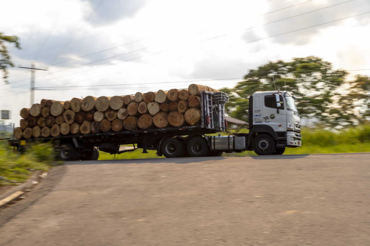 For the past 50 years, cargo transport trucks have commonly hauled hundreds of logs of commercial timber to cities along the Via Auca.