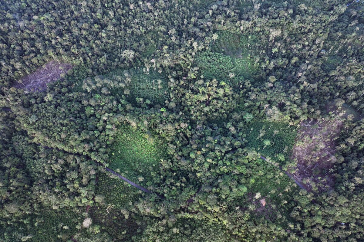 On the Via a Loreto it is common to see small, deforested plots of land where crops are grown for household consumption.