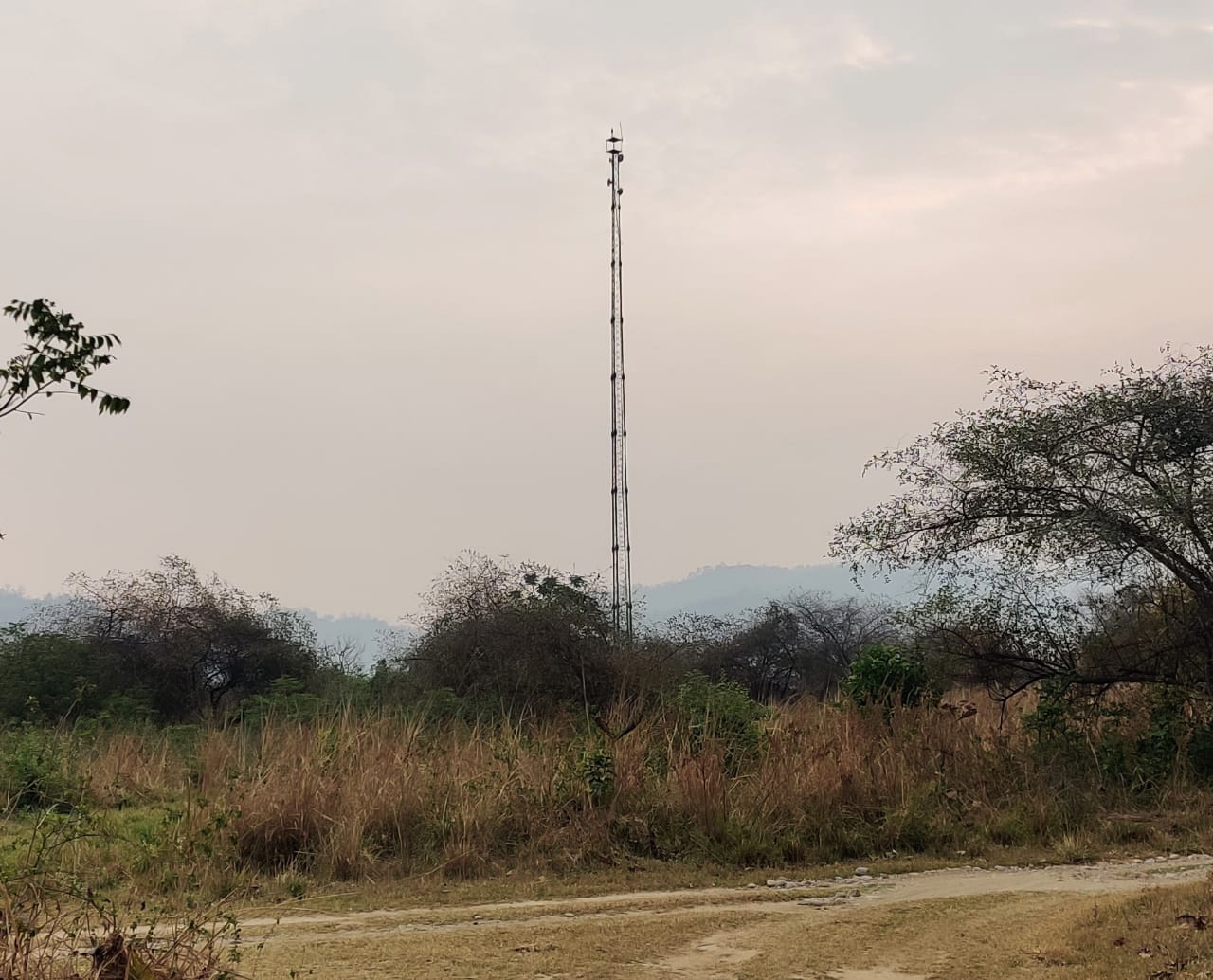 Electronic eyes are tall towers with long-range, thermal-sensing cameras that provide live surveillance of Corbett Tiger Reserve's southern boundary. 