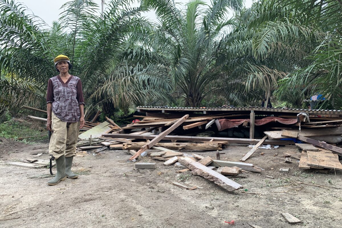 A farmer stands next to her hut that's been razed to the ground by a herd of elephants.