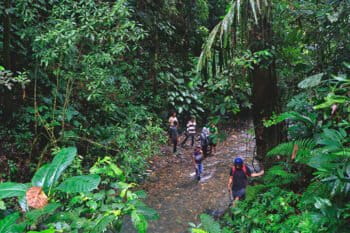A stream in a forest in Jambi.