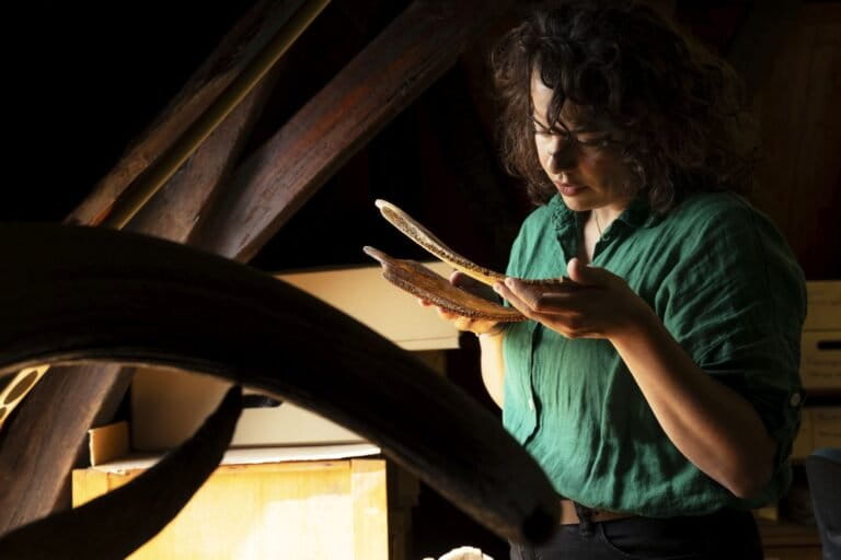 Marine biologist Willemien de Kock, who led the recent study, examines a turtle bone. Image courtesy Leoni von Ristok.