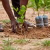 Tree Aid’s efforts as part of the Great Green Wall has resulted in planting nearly 28 million trees in the region so far.