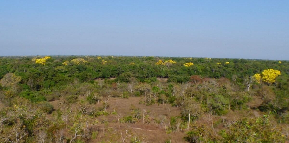 cerrado reserve