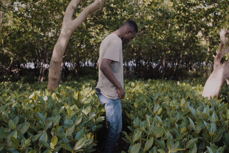 Steve Misati among recently planted mangroves. Image courtesy of Steve Misati.