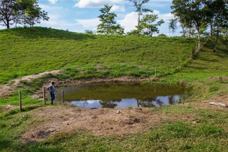 An oil-contaminated jagüeye in the El Jordán property.