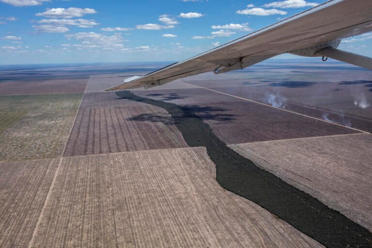 Vast croplands spread for miles across the Cerrado.