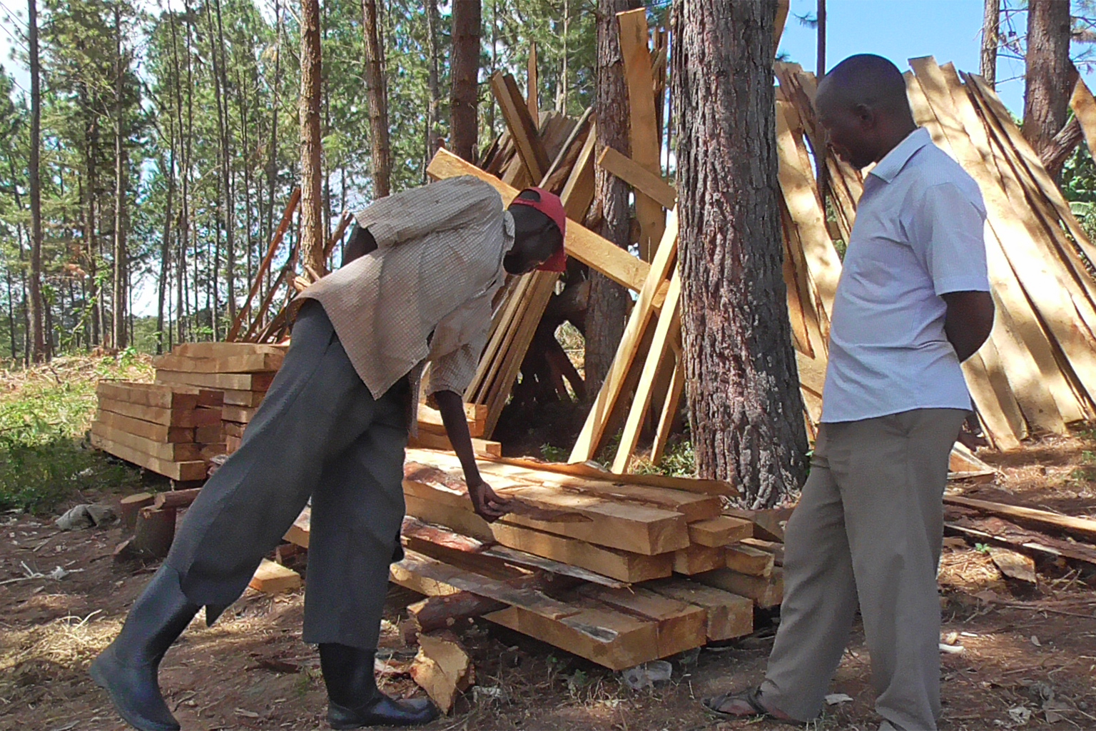 Chairperson of COFSDA John Tabula (right) interacts with the Secretary for Patrol Mane Manasseh at one of the later’s timber from his own private tree farm.