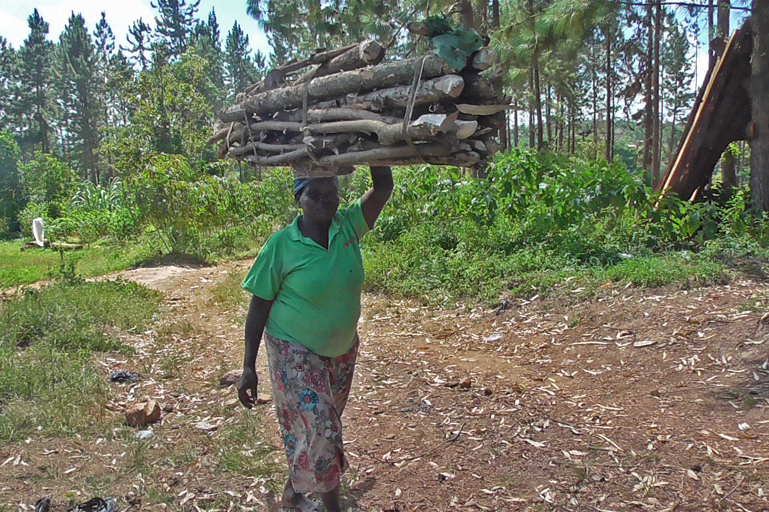 Agnes Chandiru, one of the community members in Buvunya village bordering Mabira Forest, carrying firewood from the forest.