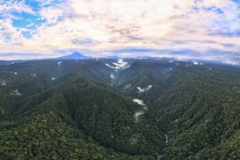 Rainforest in Ecuador