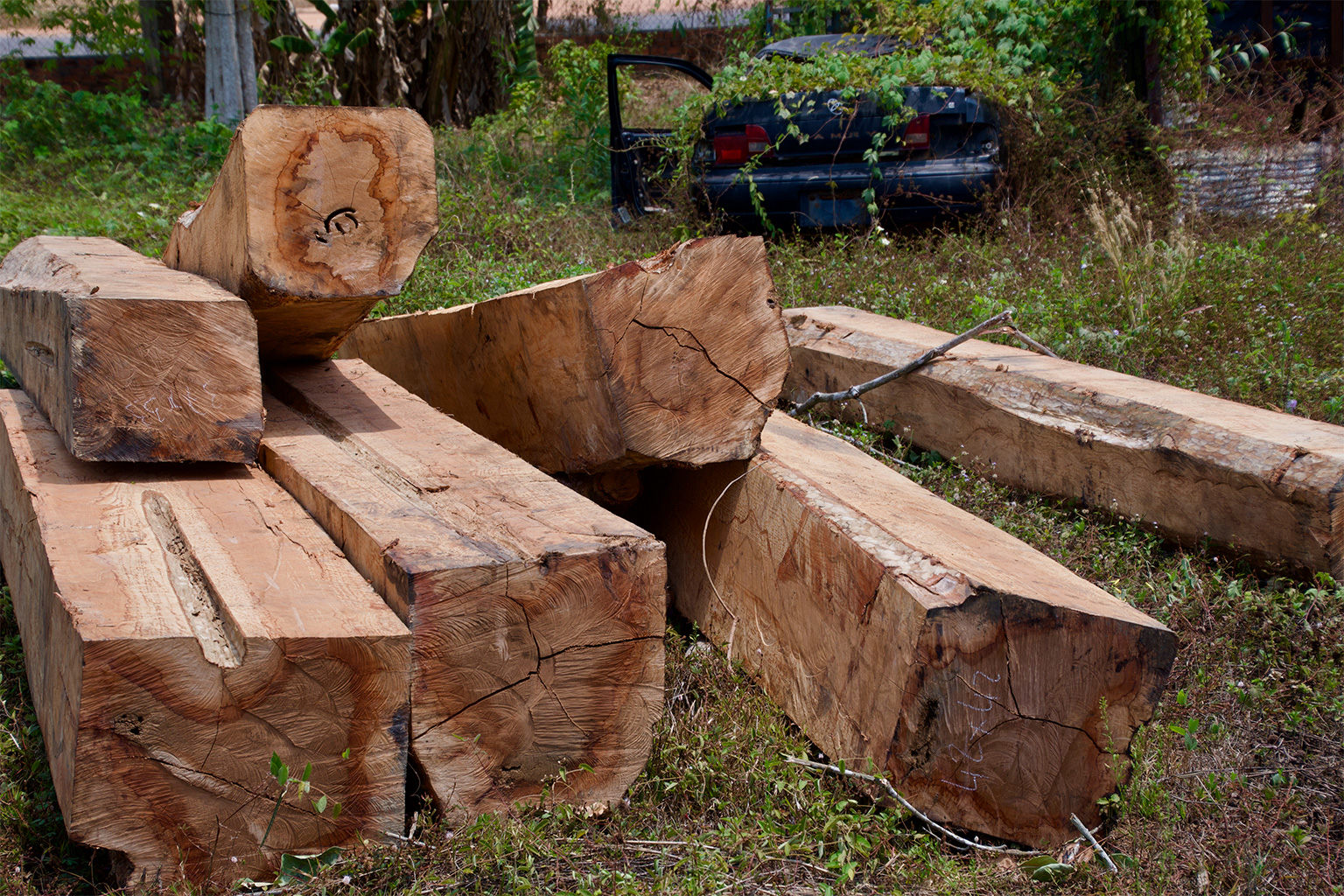 Illegally harvested logs confiscated by authorities at Keo Seima Wildlife Sanctuary in Cambodia. 