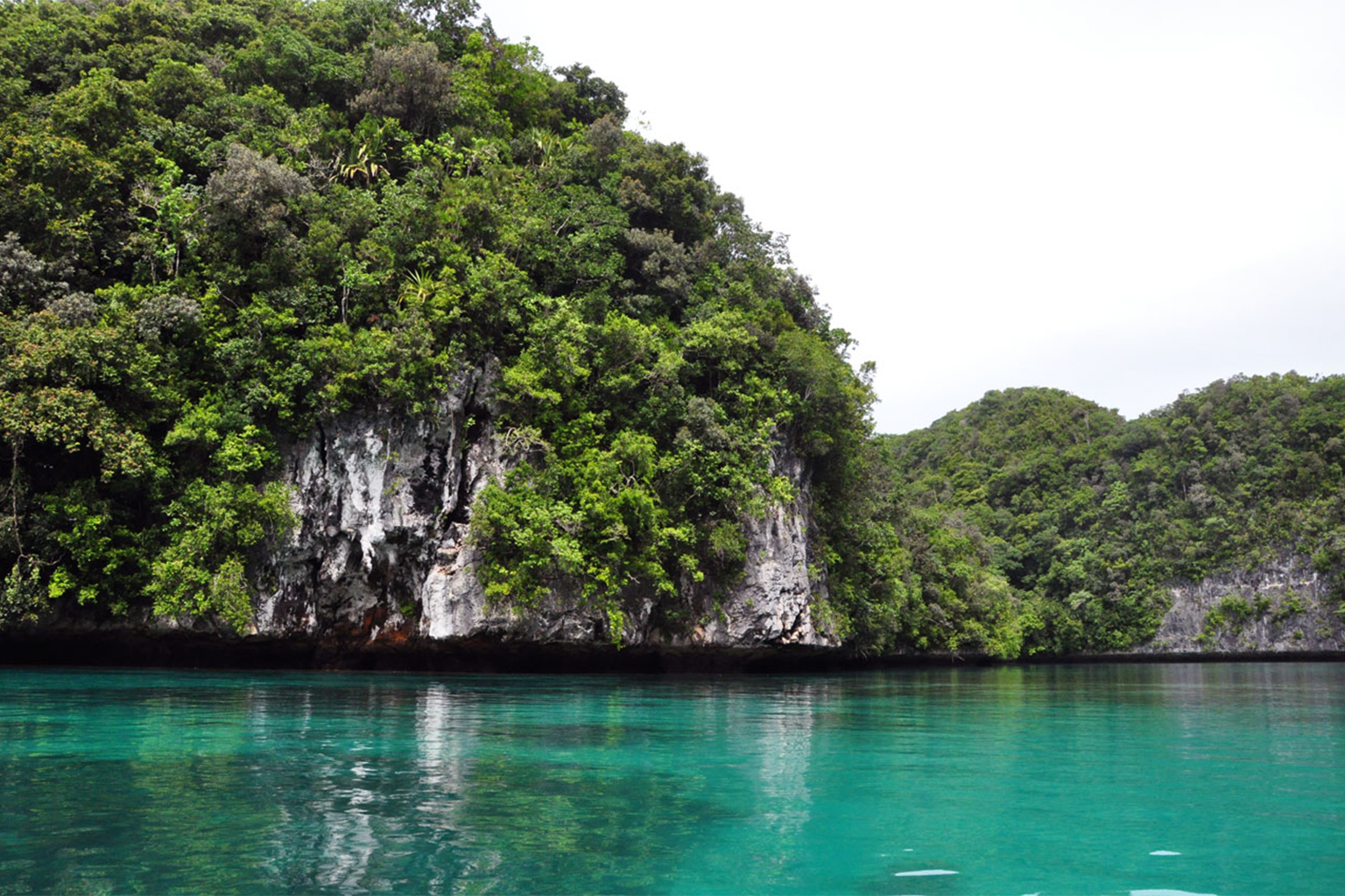 A Palau island.