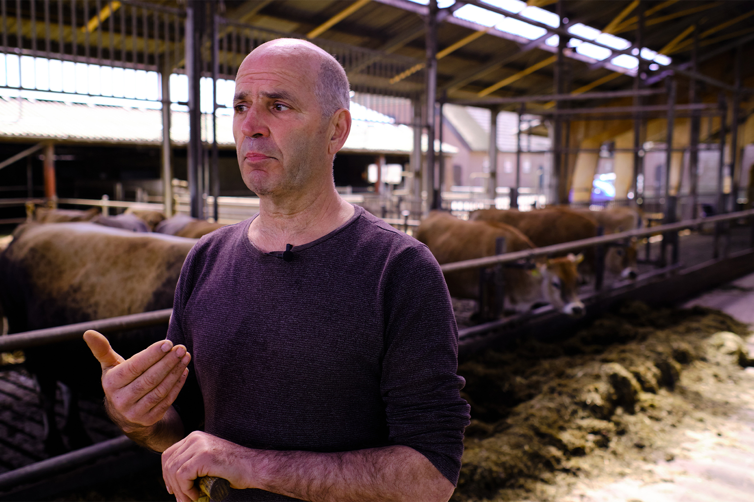 Jan Dirk at his Remeker farm in Lunteren, Netherlands.