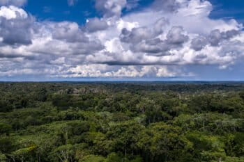 Amazon Rainforest