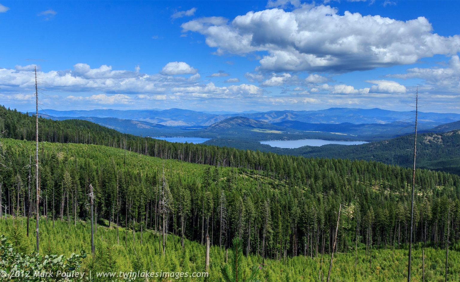 A 2012 photo of the forests on the Colville Reservation in Washington state, U.S.