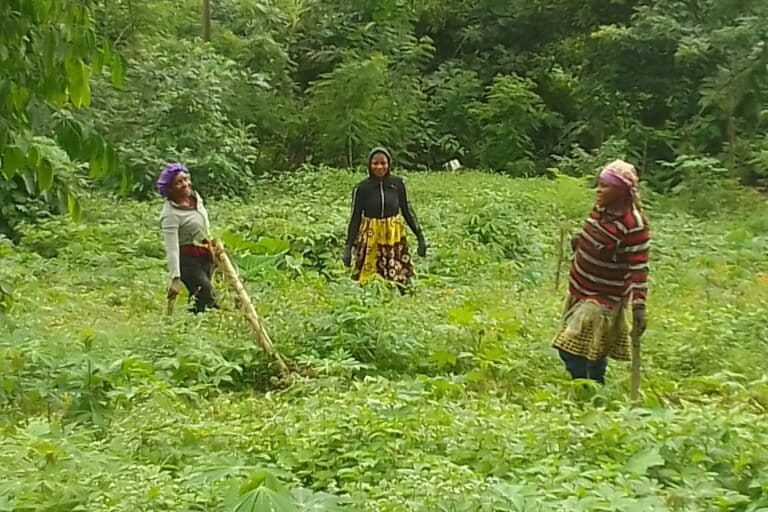 Three women standing in knee high vegetation on Emmanuel Eku's farm in Kupe Muanenguba , Cameroon. Image courtesy Emmanuel Eku.