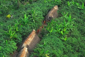 An uncontacted Indigenous community in Acre, Brazil.