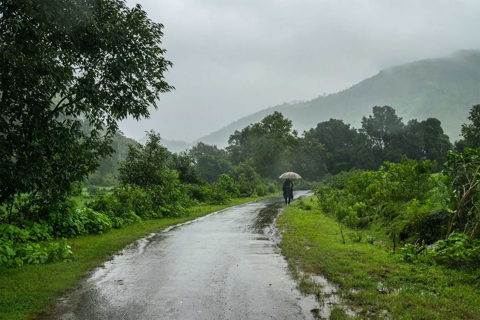 person walking on road between green grass field during daytime