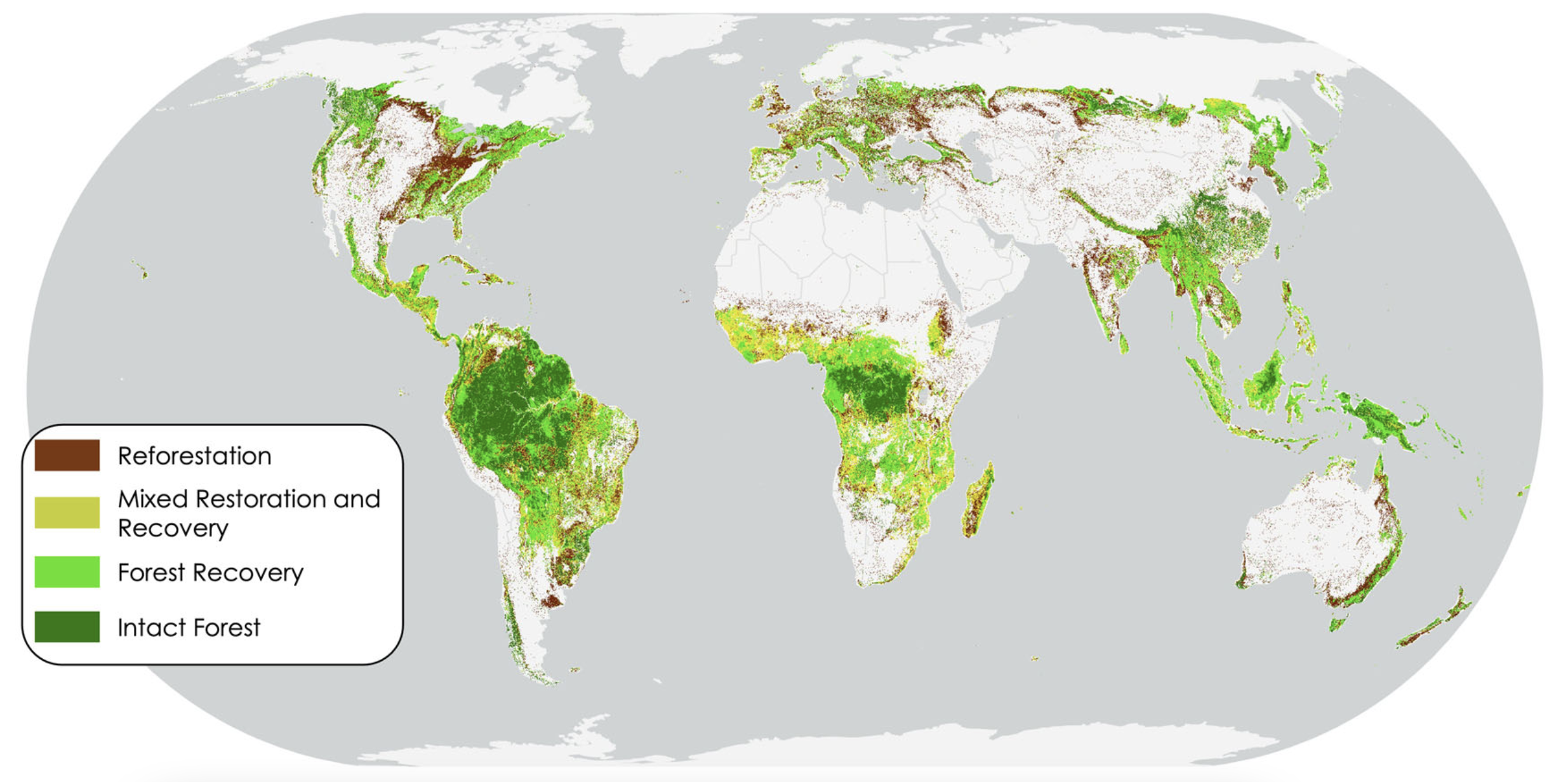 Restoring degraded forests may be key for climate, study says