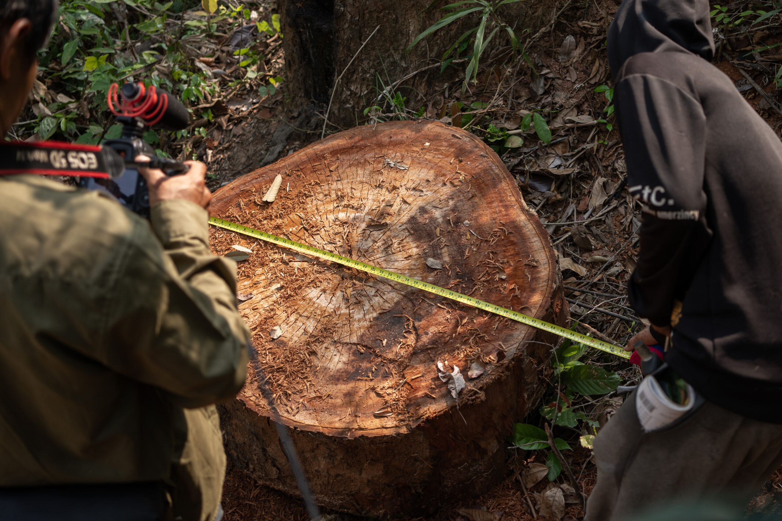 2 members of the Prey Preah Roka Community Network-- a grassroots advocacy group comprised of neighborhoods around the wildlife sanctuary - record an unlawfully logged tree in the wildlife sanctuary. The grassroots group frequently patrol the wildlife sanctuary, recording any prohibited logging they encounter by marking GPS collaborates, in addition to taking a note of the types and size of the trees. Image by: Andy Ball/ Mongabay.