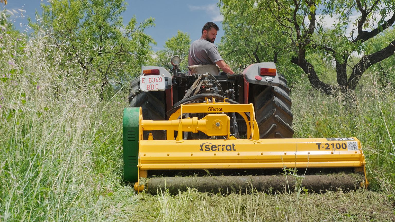 Farmer Miguel Ángel Gómez crushes the green cover under his almond trees.