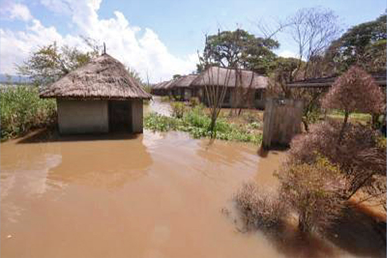 Cyclone Idai: 'Children died as they fell from trees, adults drowned when  they could hold on no longer