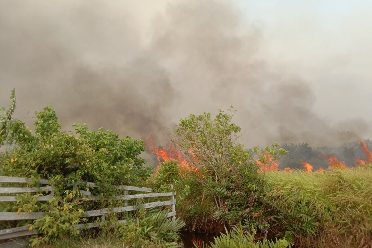 The fire from the Tanjung Puting National Park area entering the Sungai Panggang Village area on October 2, 2023. 