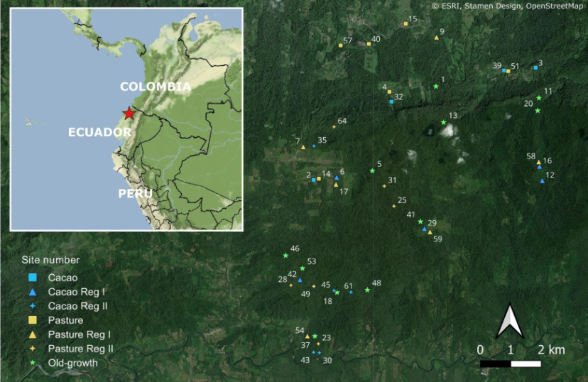 Mapa del estudio de Mueller et al con la ubicación de las parcelas de estudio.