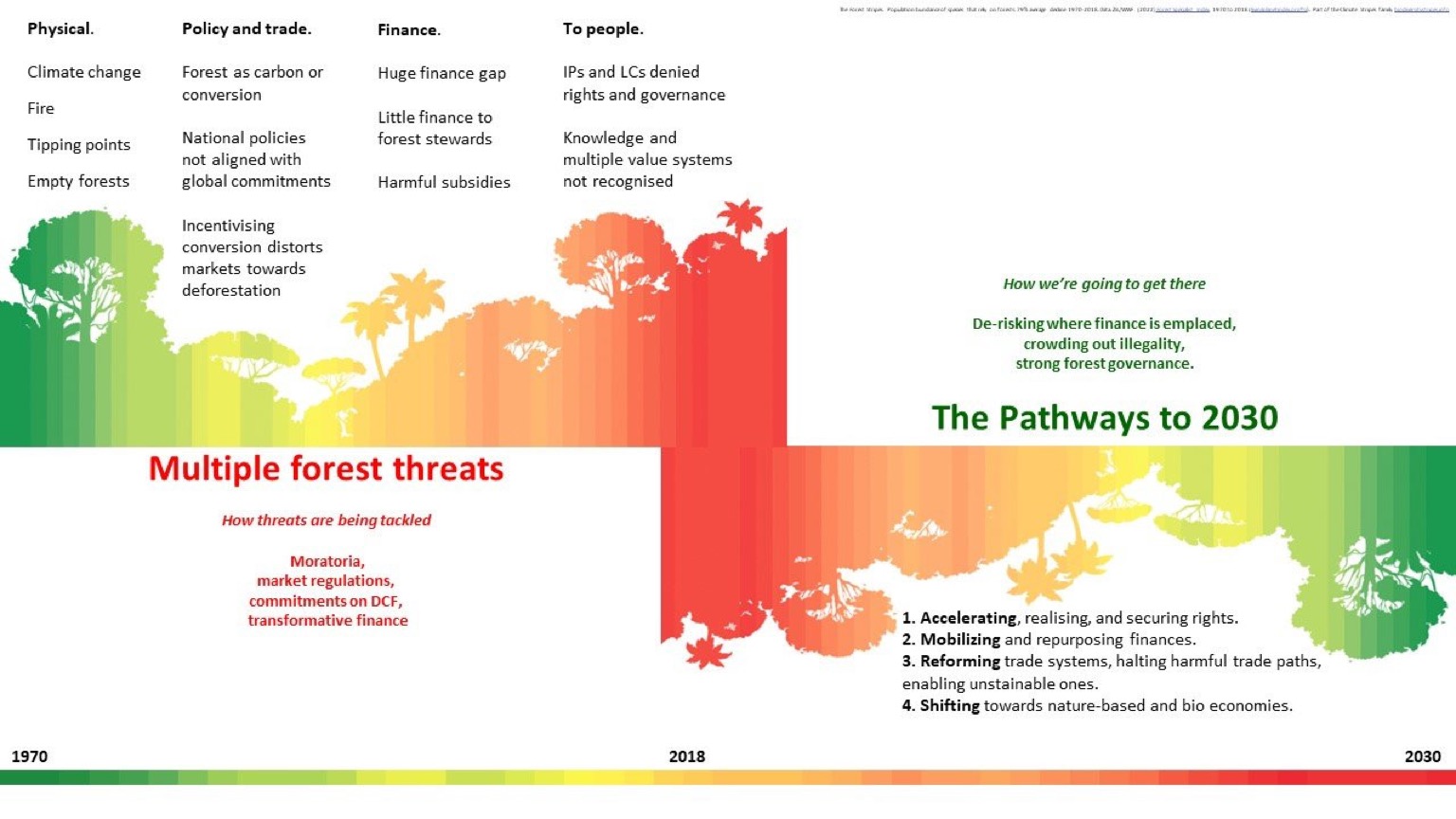 2023 Forest Declaration Assessment: Off track and falling behind - Forest  Declaration