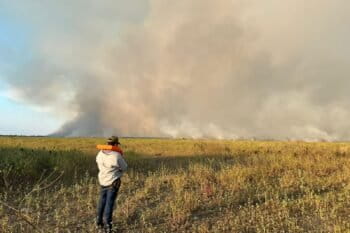 pantanal fire